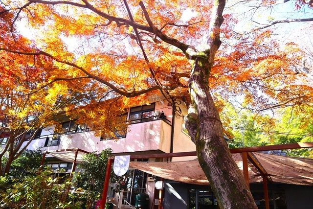 秋のおたカフェ