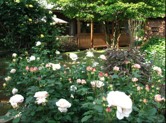アトリエ Hana & hana 花cafeの庭