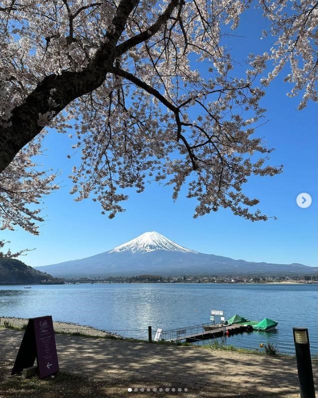 cafemimiインスタ桜と富士山